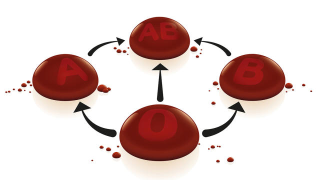 Thank Your Dad — for Your Blood Type: The Science of ABO