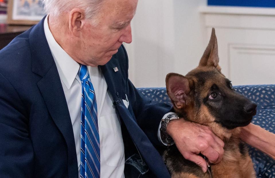 President Joe Biden pets his dog Commander during a White House event in 2021 (AFP via Getty Images)