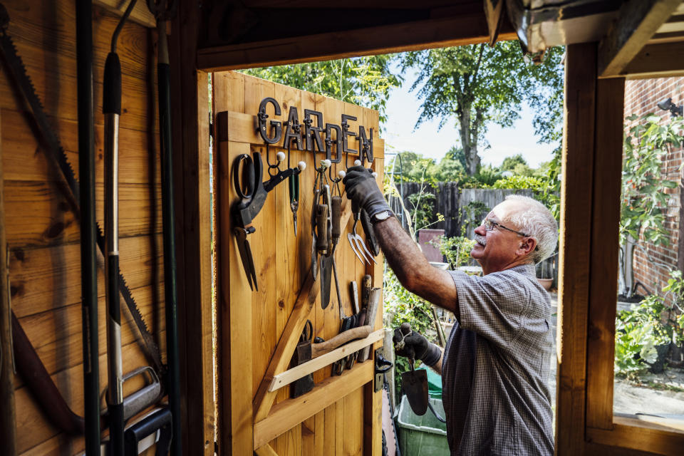 An older man organizes garden tools on a wooden shed door, with a sunny backyard visible in the background