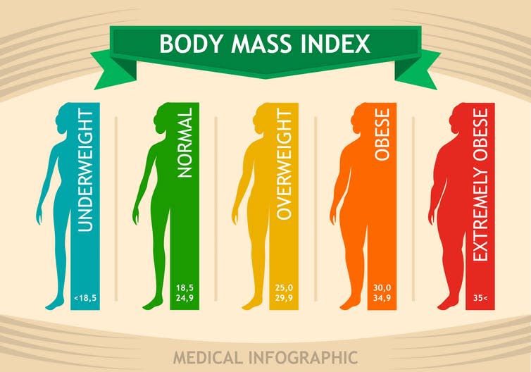<span class="caption">BMI is calculated as your weight divided by your height squared.</span> <span class="attribution"><a class="link " href="https://www.shutterstock.com/image-vector/woman-body-mass-index-info-chart-1146462977?src=QqAPweCE_PUKcqAzyzKUvA-1-12" rel="nofollow noopener" target="_blank" data-ylk="slk:SVStudio/Shutterstock;elm:context_link;itc:0;sec:content-canvas">SVStudio/Shutterstock</a></span>