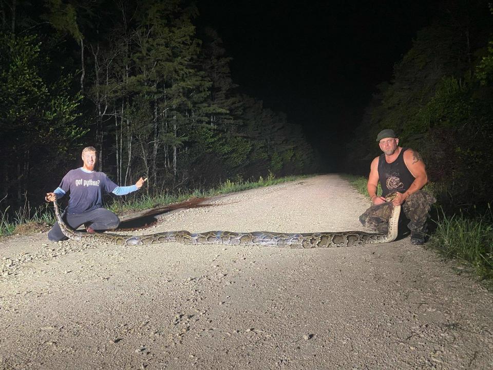 Deux géants sur une photo (Crédits Facebook MyFWC Florida Fish and Wildlife)