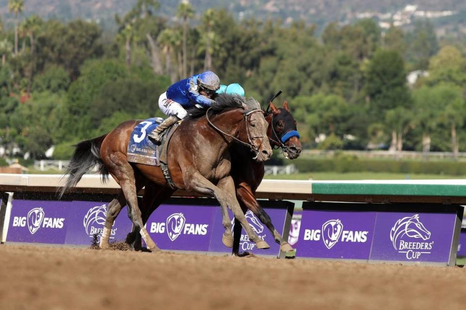 Cody’s Wish (3), with jockey Junior Alvarado up, held off National Treasure (9) to win the 2023 Breeders’ Cup Dirt Mile at Santa Anita Park. It was a repeat victory for Cody’s Wish, who also won the BC Dirt Mile in 2022.