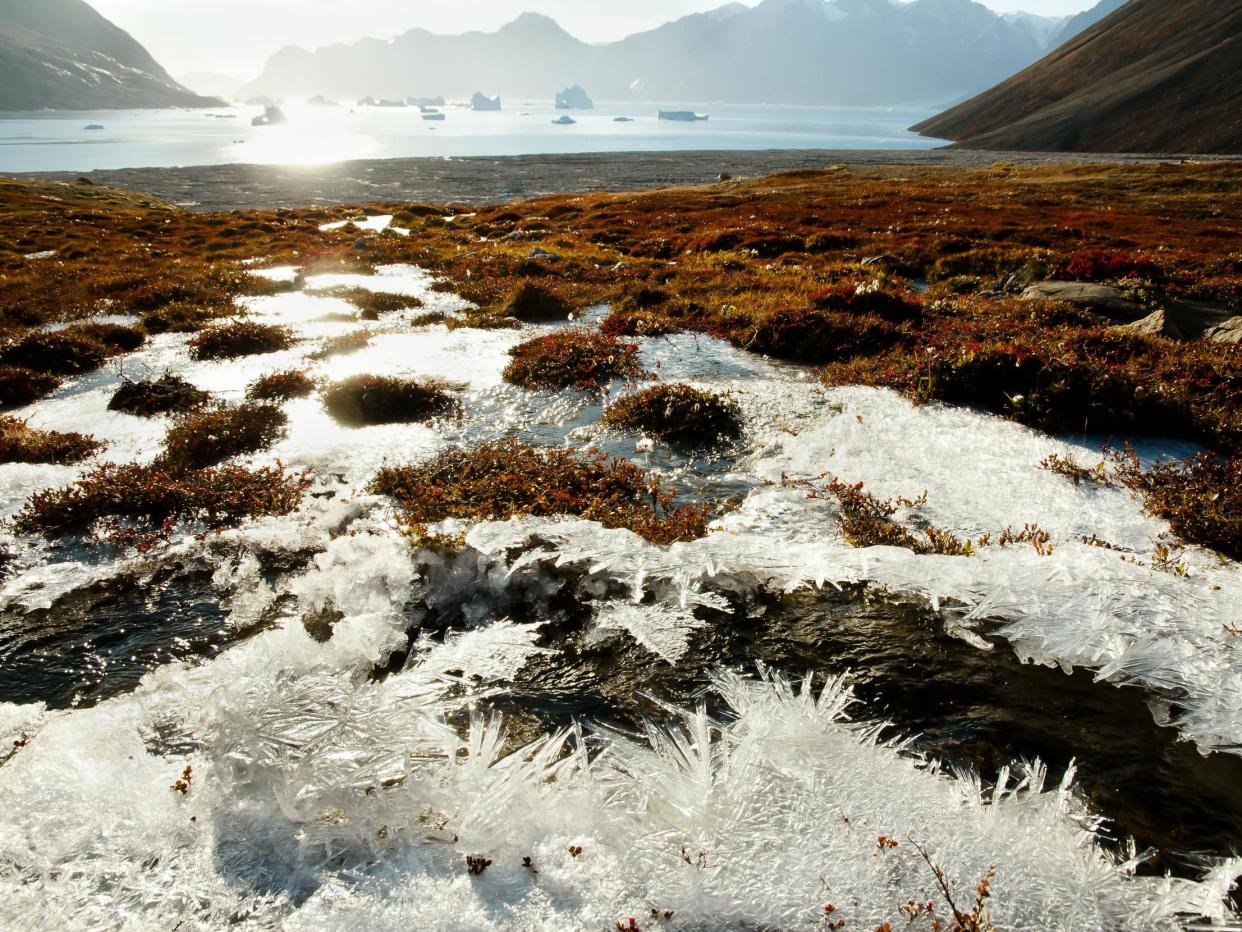 By 2100, winter carbon dioxide emissions from the Arctic could increase by 41 per cent under a worst-case scenario: Getty