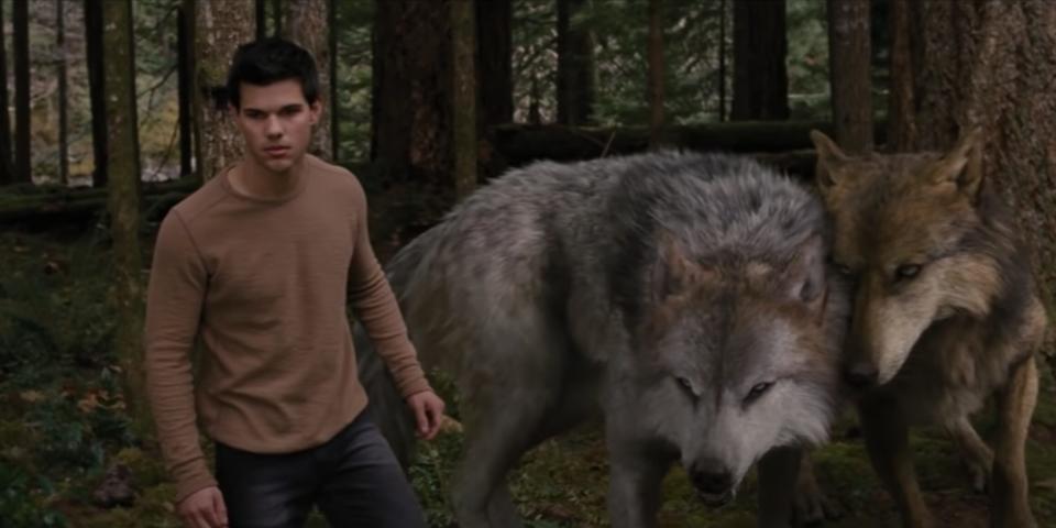 Jacob in a brown shirt in front of two other werewolves in breaking dawn