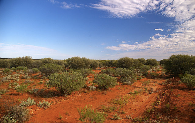 <span class="caption">The outback near Maralinga today.</span> <span class="attribution"><a class="link " href="https://www.google.co.uk/search?safe=off&biw=1415&bih=672&tbm=isch&sa=1&q=maralinga+australia&oq=maralinga+australia&gs_l=psy-ab.3..0j0i24k1l2.741665.744630.0.744847.2.2.0.0.0.0.117.204.1j1.2.0....0...1.1.64.psy-ab..0.1.116....0.McwRUixx-O4#imgrc=u99XsEqjP9GYHM:" rel="nofollow noopener" target="_blank" data-ylk="slk:Wayne England;elm:context_link;itc:0;sec:content-canvas">Wayne England</a>, <a class="link " href="http://creativecommons.org/licenses/by-sa/4.0/" rel="nofollow noopener" target="_blank" data-ylk="slk:CC BY-SA;elm:context_link;itc:0;sec:content-canvas">CC BY-SA</a></span>