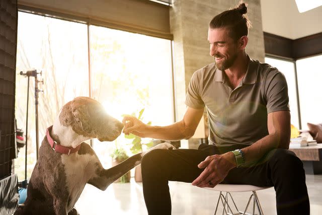 <p>Purina Pro Plan</p> Michael Phelps and his Great Dane, Onyx