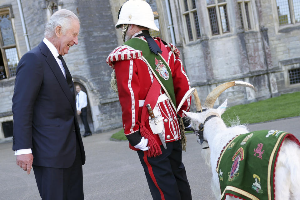 Britain's King Charles III meets Sheinkin IV, goat mascot for the Royal Welsh Third Battallion at Cardiff Castle in Wales, Friday Sept. 16, 2022. The royal couple, King Charles III and Queen Consort Camilla, previously visited Scotland and Northern Ireland, the other nations making up the United Kingdom, following the death of Queen Elizabeth II at age 96 on Thursday, Sept. 8. (Chris Jackson/Pool via AP)