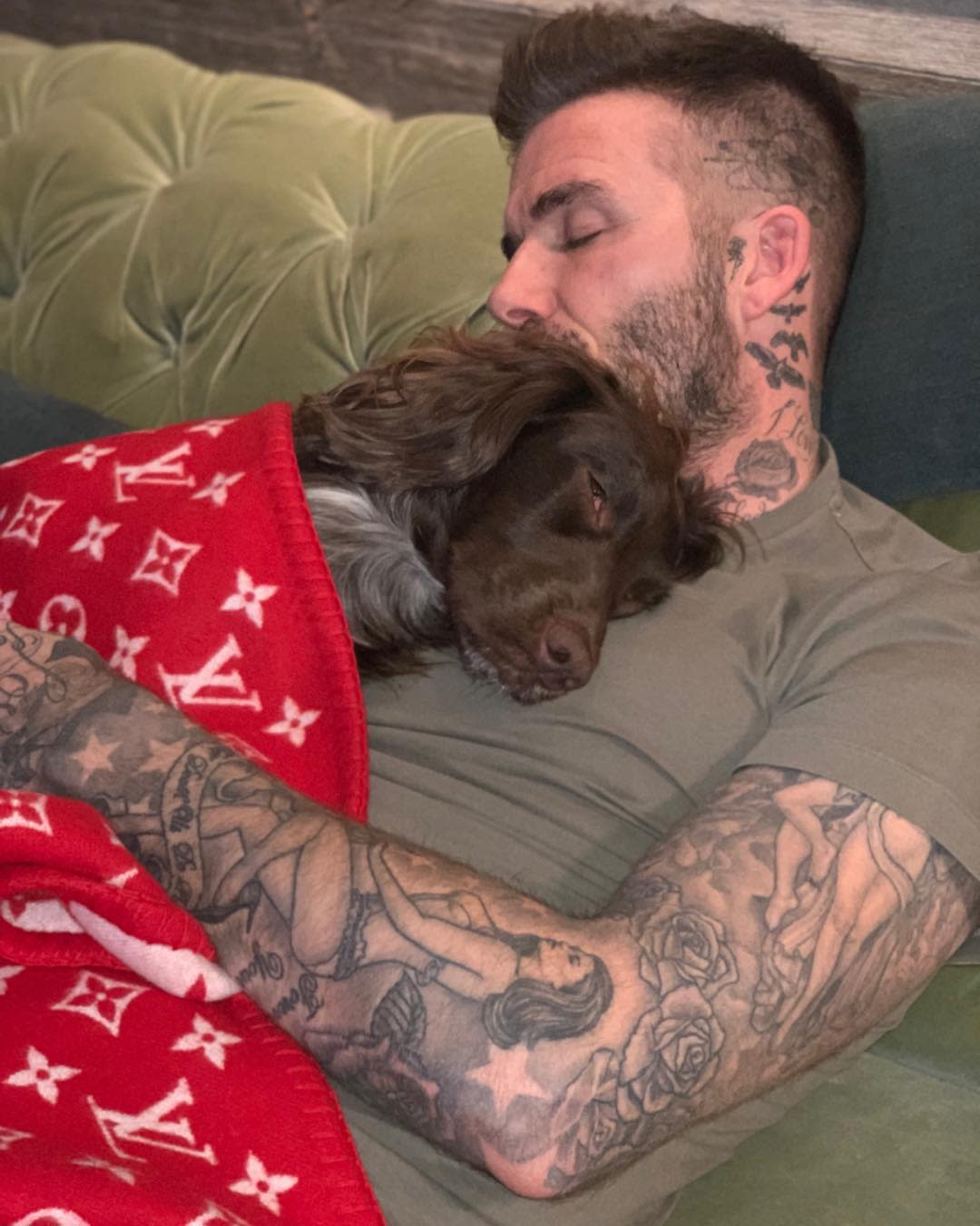 David Beckham y su perrita durmiendo la siesta. <a href="https://www.instagram.com/victoriabeckham/?hl=en" rel="nofollow noopener" target="_blank" data-ylk="slk:Foto: Victoria Beckham/Instagram;elm:context_link;itc:0;sec:content-canvas" class="link ">Foto: Victoria Beckham/Instagram</a>