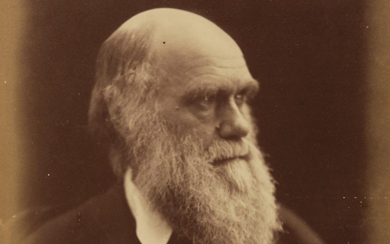 ILE - In this undated file photo, British scientist Charles Robert Darwin, founder of the theory for the evolution of life is seen at an unknown location. An auction house said Sunday, Nov. 22, 2009 it is selling a rare first edition of Charles Darwin's "On the Origin of Species" found in a family's guest lavatory in southern England. (AP Photo, File) - AP Photo