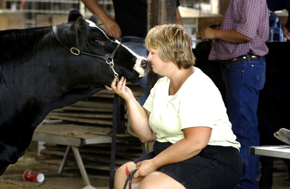 Mary Bloomberg of Berwick, nuzzles her champion Simmental heifer, Poison, during cattle judging at the Heart of Illinois Fair.
