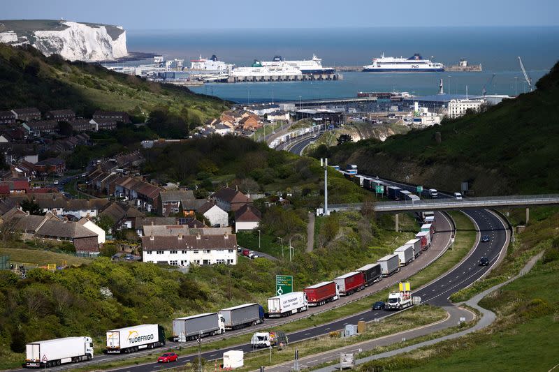 FILE PHOTO: Freight lorries queue to enter the Port of Dover