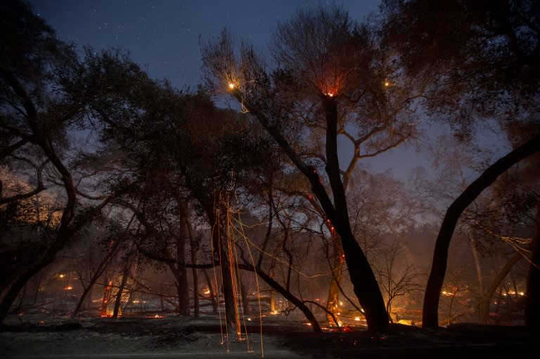 A freshly-burned forest is seen under the stars at the Lilac Fire in the early morning hours of December 8, 2017 near Bonsall, California