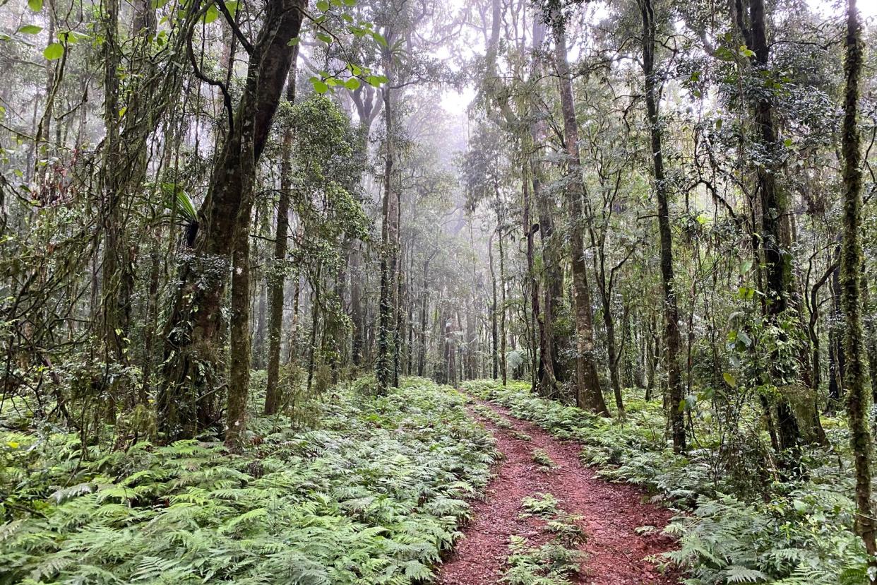 Hiking hut to hut in Australia at eco camps