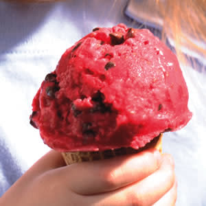 Raspberry-Chocolate Chip Frozen Yogurt