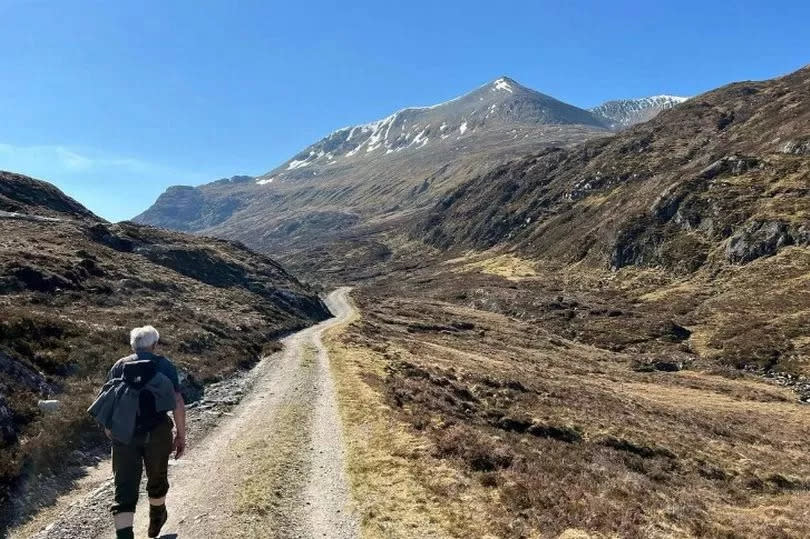 Freddie was an experienced hillwalker