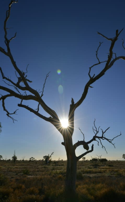 Australia experienced its three warmest springs on record between 2013-15 - spring is the bushfire season when temperature and rainfall are critical