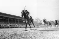FILE - In this June 12, 1948, file photo, Citation, jockey Eddie Arcado up, races for a win and the Triple Crown in the $100,000 added Belmont Stakes at Belmont Park race track in Elmont, N.Y. Secretariat is the early 7-2 favorite for this weekend’s virtual Kentucky Derby, an animated race pitting all 13 Triple Crown winners on the day the Derby would have been held before the coronavirus pandemic postponed it. Citation was made the 4-1 second choice. (AP Photo/File)