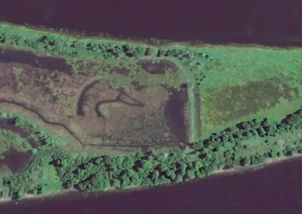 Wetland watermark: There's a giant duck hidden on a St. John River