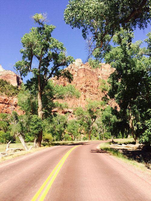 Run with a view: The author, a travel editor, trained for a half marathon along many scenic routes, including the Road to Zion in Zion National Park in Utah.