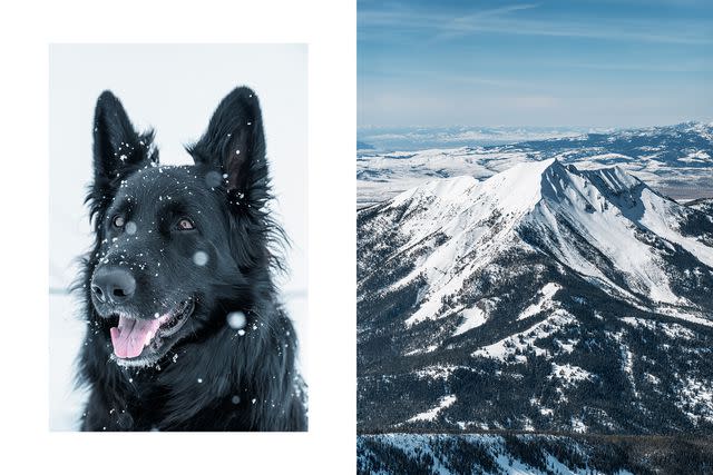<p>Mark Hartman</p> Fron left: Tela, a certified avalanche dog; Fan Mountain, as seen from Lone Peak, at Big Sky.