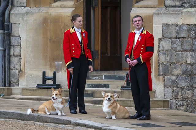 <p>Justin Setterfield/Getty</p> Corgis Sandy and Muick at Queen Elizabeth's funeral on Sept. 19, 2022