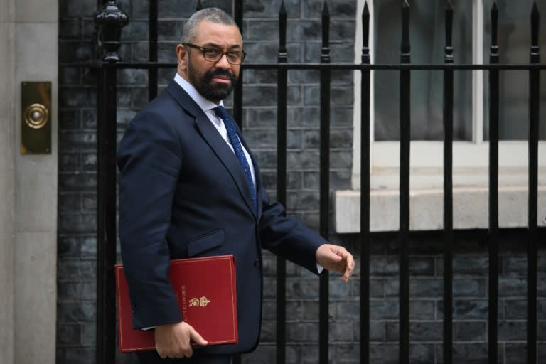 Interior minister James Cleverly accused Russia of 'malign' activity (Daniel LEAL)