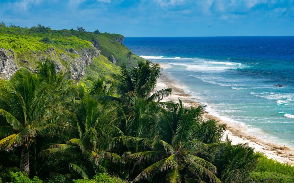 Henderson Island, an uplifted coral island found in the Pitcairn group