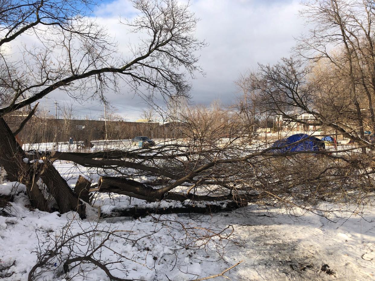 People cut down tree branches to build a makeshift barricade at the Back 40 homeless encampment in Lansing on Thursday, January 7, 2021.