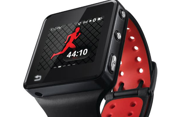 Fitness Watch Sales 2013