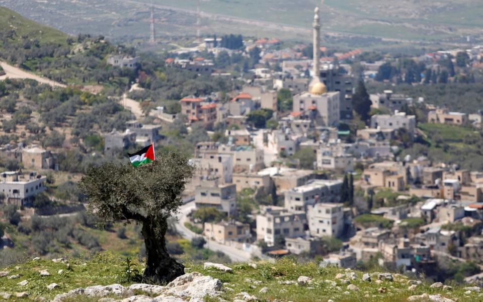 A Palestinian flag hangs on a tree during a protest against Jewish settlements in An-Naqura village near Nablus in the West Bank - REUTERS/Raneen Sawafta