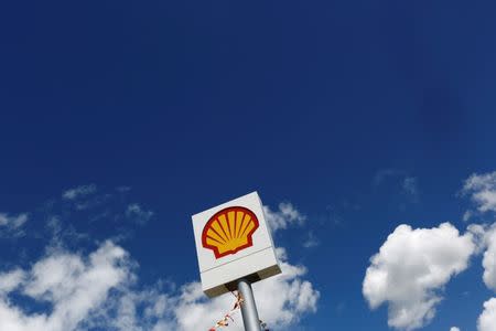 A logo of Shell is pictured at a gas station in the western Canakkale province, Turkey April 25, 2016. REUTERS/Murad Sezer