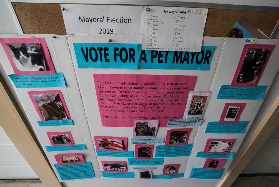 Lincoln, a 3-year-old Nubian goat, won a special pet election for mayor of Fair Haven, Vt., on Town Meeting Day, beating out more than a dozen other animals as part of a playground fundraiser.