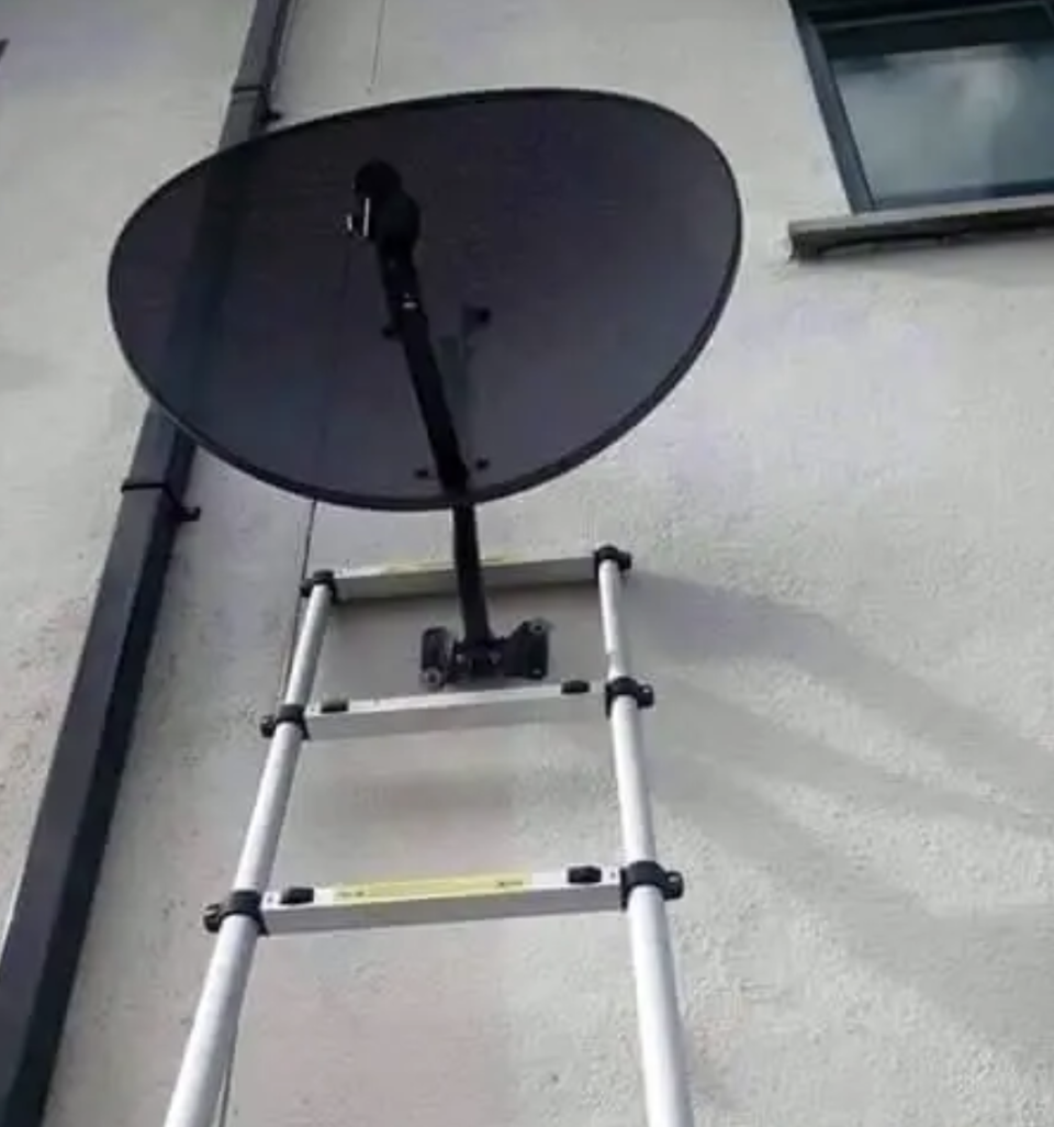 a ladder around a satellite dish