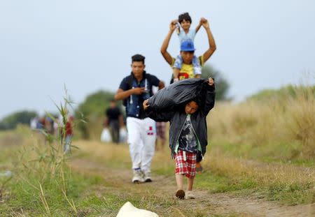 Syrian migrants walk along a road after crossing the Hungarian-Serbian border into Hungary, near Roszke, August 26, 2015. REUTERS/Laszlo Balogh