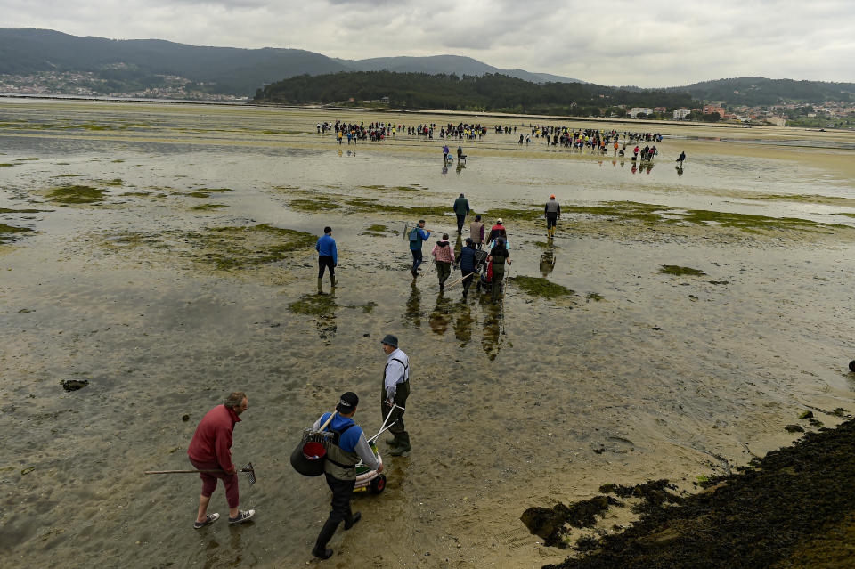 Clam diggers gather in the lower estuary of Lourizan, before starting their daily workday in Galicia, northern Spain, Thursday, April 20, 2023. They fan out in groups, mostly women, plodding in rain boots across the soggy wet sands of the inlet, making the most of the low tide. These are the clam diggers, or as they call themselves, "the peasant farmers of the sea." (AP Photo/Alvaro Barrientos)