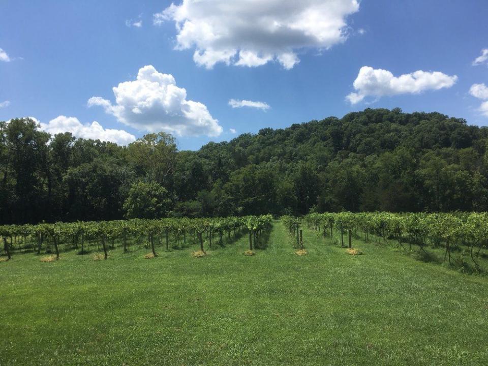 4) Arkansas: Railway Winery & Vineyards