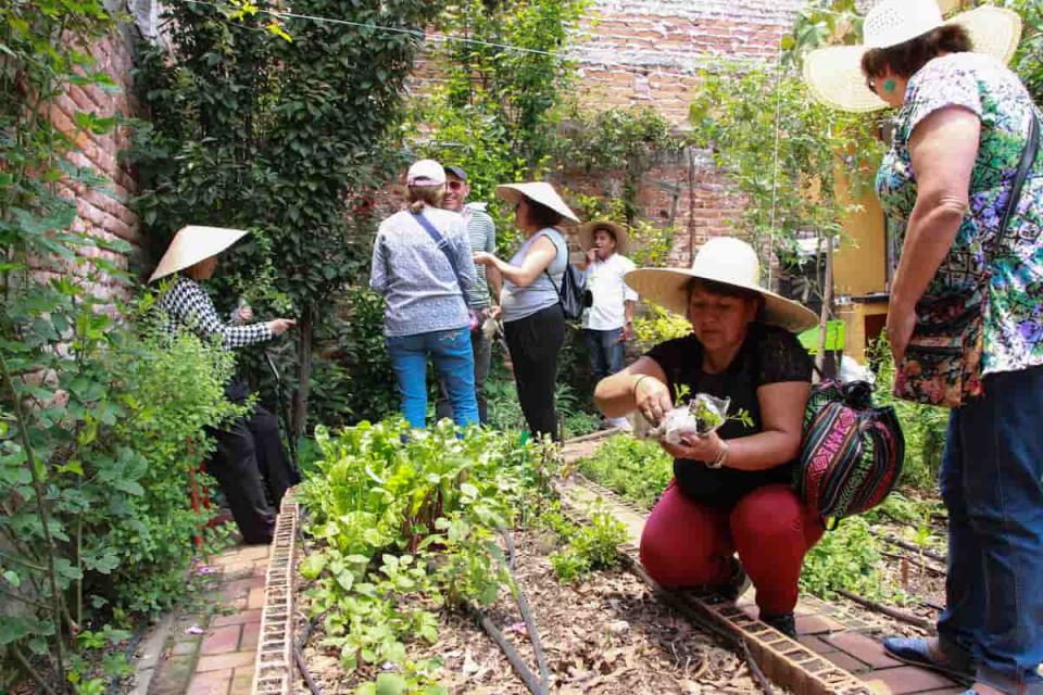 proyectos de resistencia barrial ante la gentrificación