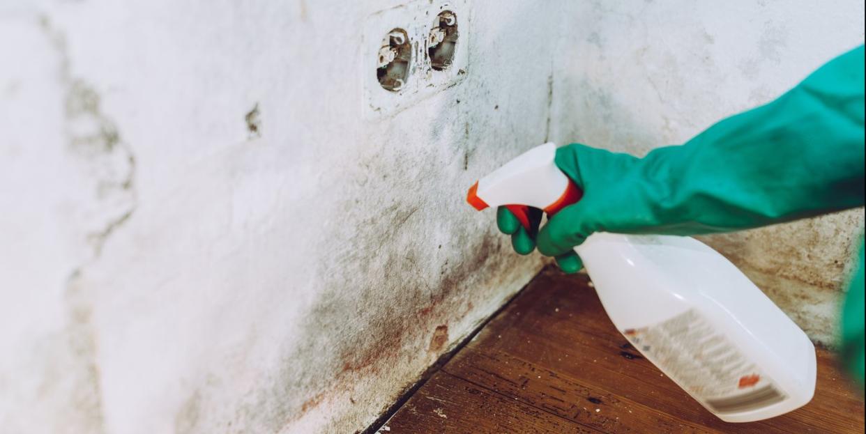 hacks on how to get rid of mould in your home