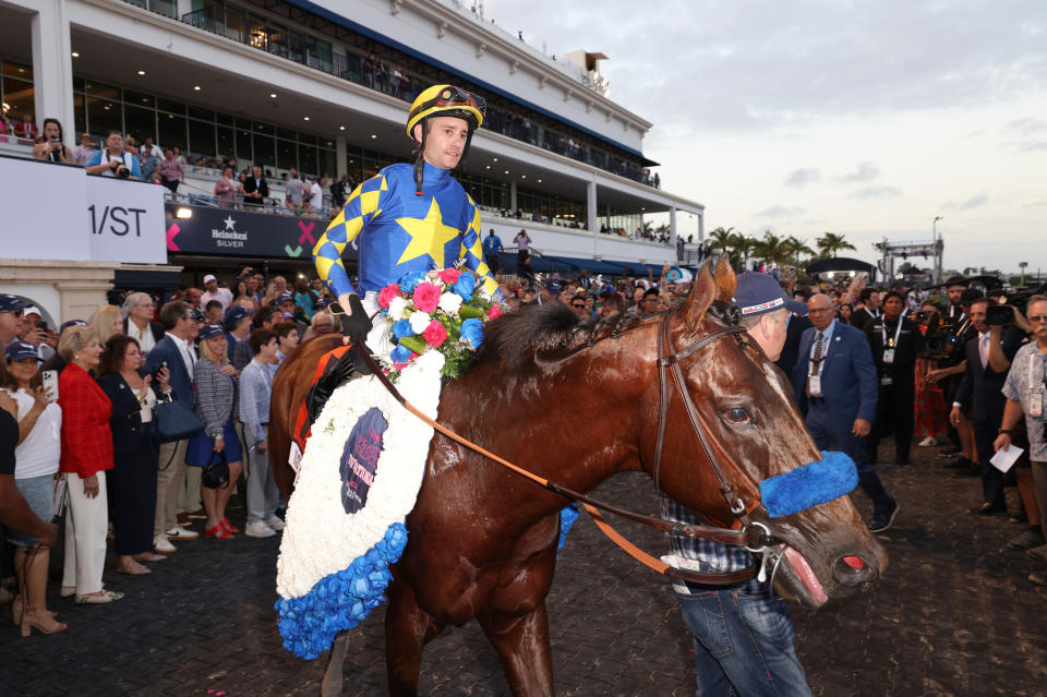 HALLANDALE, FLORIDA - JANUARY 27: Pegasus 2024 World Cup winning horse National Treasure and jockey Flavien Prat during the 2024 Pegasus World Cup Presented By Baccarat at Gulfstream Park on January 27, 2024 in Hallandale, Florida. (Photo by Alexander Tamargo/Getty Images for 1/ST)