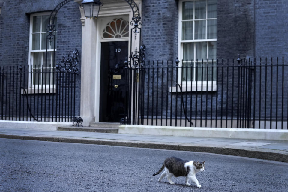 Larry the Cat, Britain's Chief Mouser to the Cabinet Office, walks through Downing Street in London, Thursday, Jan. 13, 2022. Britain's Prime Minister Boris Johnson has cancelled a visit Thursday after a family member tested positive for COVID-19. Senior British government ministers have expressed support for Conservative Prime Minister Boris Johnson and rejected demands he resign for attending a garden party during the country's first coronavirus lockdown. (AP Photo/Kirsty Wigglesworth)