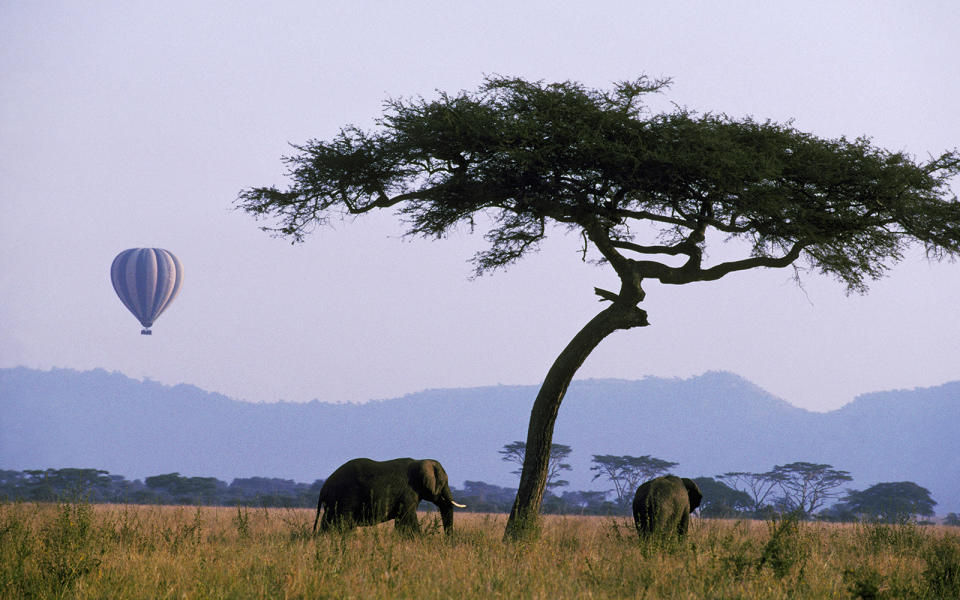 Serengeti, Tanzania