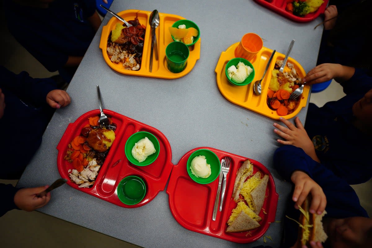 Children must meet certain criteria to be elligible for free school meals (file photo)  (PA)