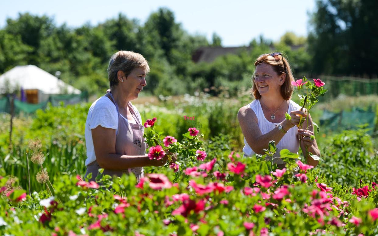 Join growers like Jo Wright and Wendy Paul of Organic Blooms, for weekend of knowledge, fun and skills - Organic Blooms 