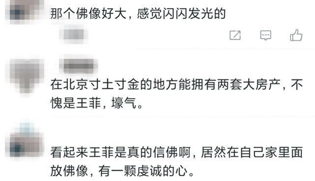 網友對於王菲的佛像議論紛紛，不但羨慕她買那麼貴的房子，也嘆她真的夠虔誠。（翻攝自微博）