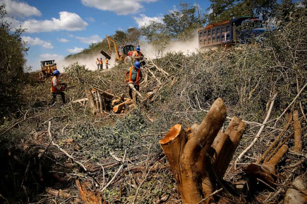 PHOTO: Workers clear trees for the construction of section 4 of the new Mayan Train route, near Nuevo Xcan, Chemax, Mexico, March 3, 2022. (Jose Luis Gonzalez/Reuters)