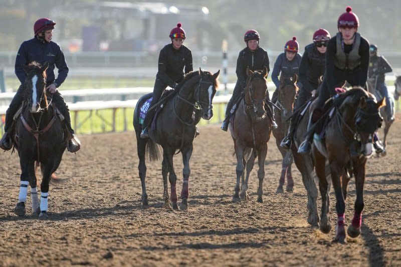Irish trainer Aidan O'Brien's powerful string presents a uniform picture during morning training for the Breeders' Cup World Championships at Santa Anita. Photo by Scott Serio/Eclipse Sportswire, courtesy of Breeders' Cup