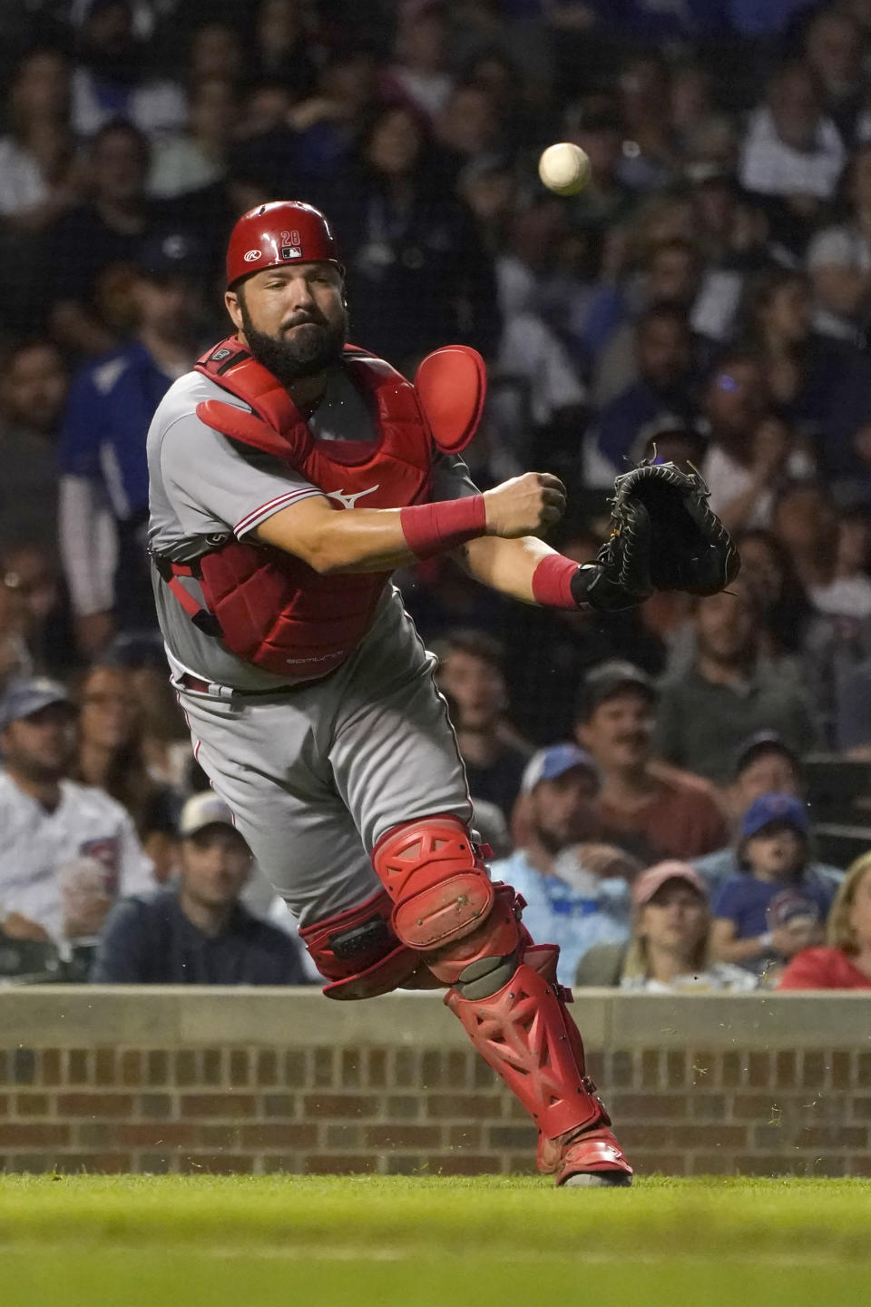 Cincinnati Reds catcher Austin Romine throws out Chicago Cubs' Yan Gomes at first during the sixth inning of a baseball game Tuesday, Sept. 6, 2022, in Chicago. (AP Photo/Charles Rex Arbogast)