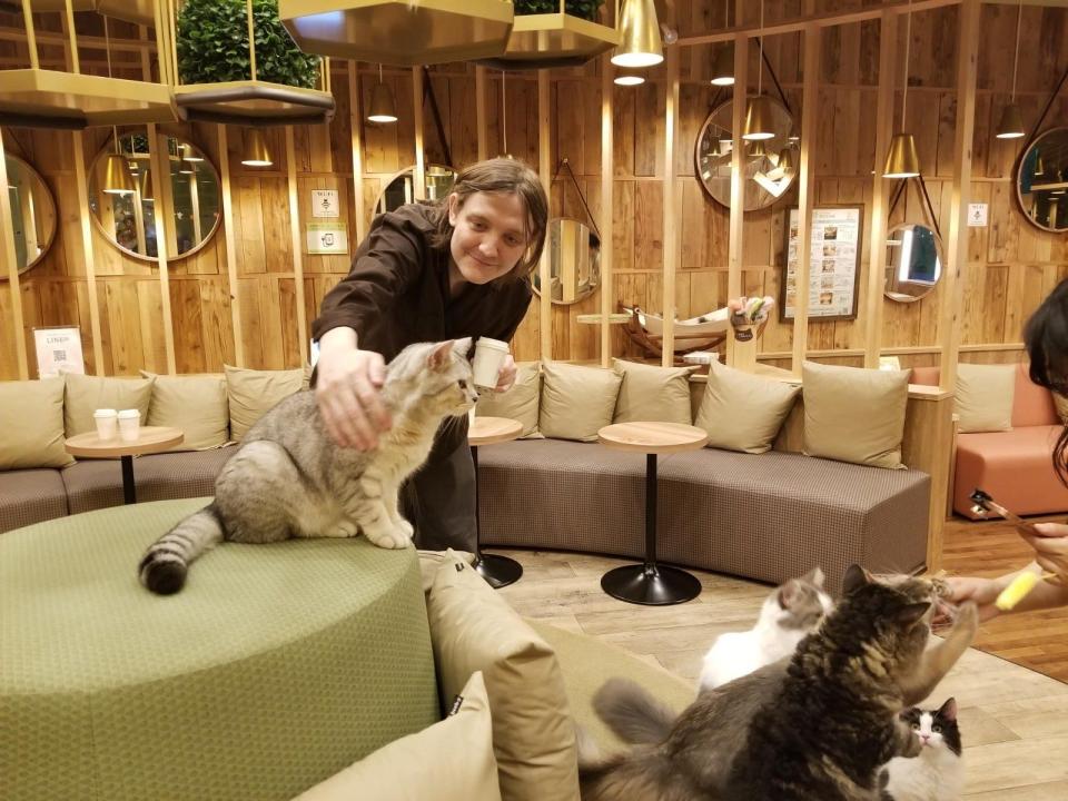 David Kirk Ginder at a cat cafe in Tokyo in 2018.