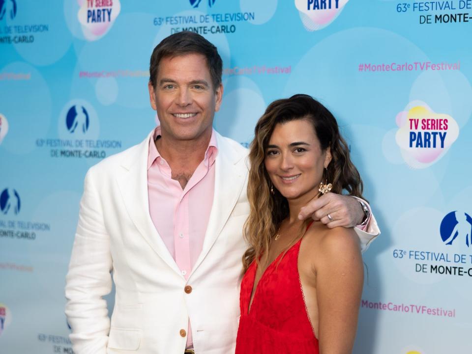 michael weatherly, cote de pablo