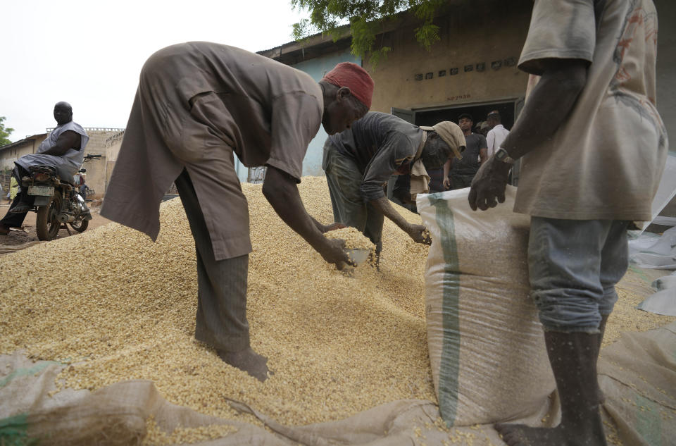 FILE - Men bag grain to sell at Dawanau International Market in Kano Nigeria, Friday, July 14, 2023. By halting a landmark deal that allowed Ukrainian grain exports via the Black Sea, Russian President Vladimir Putin has taken a risky gamble that could badly damage Moscow's relations with many of its partners that have remained neutral or even supportive of the Kremlin amid the war in Ukraine. Russia has also played spoiler at the United Nations, vetoing a resolution on extending humanitarian aid deliveries via a key crossing point in northwestern Syria and backing Mali's push to expel the U.N. peacekeepers. Putin's decision to spike the deal could backfire against Russia's own interests, straining Moscow's relations with key partner Turkey and hurting its ties with African countries. (AP Photo/Sunday Alamba, File)